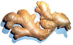 ZINGIBER OFFICINALE .jpg